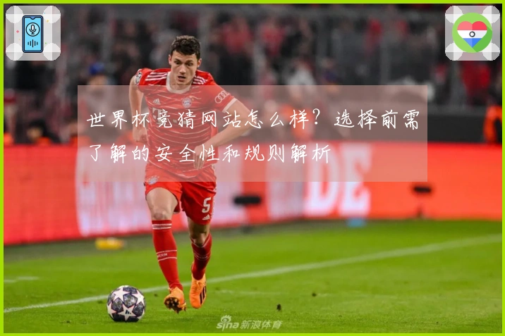 世界杯竞猜网站怎么样？选择前需了解的安全性和规则解析