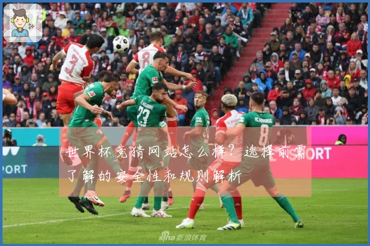 世界杯竞猜网站怎么样?选择前需了解的安全性和规则解析