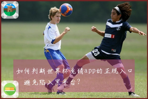 如何判断世界杯竞猜app的正规入口,避免陷入黑平台?