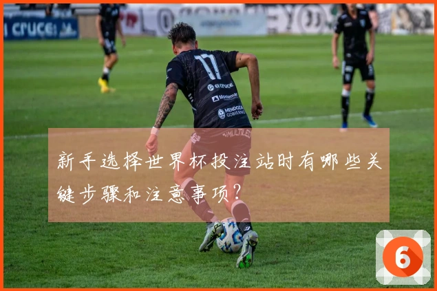 新手选择世界杯投注站时有哪些关键步骤和注意事项？